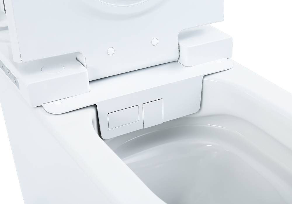Confort intelligent : toilettes intelligentes électriques autonettoyantes personnalisées