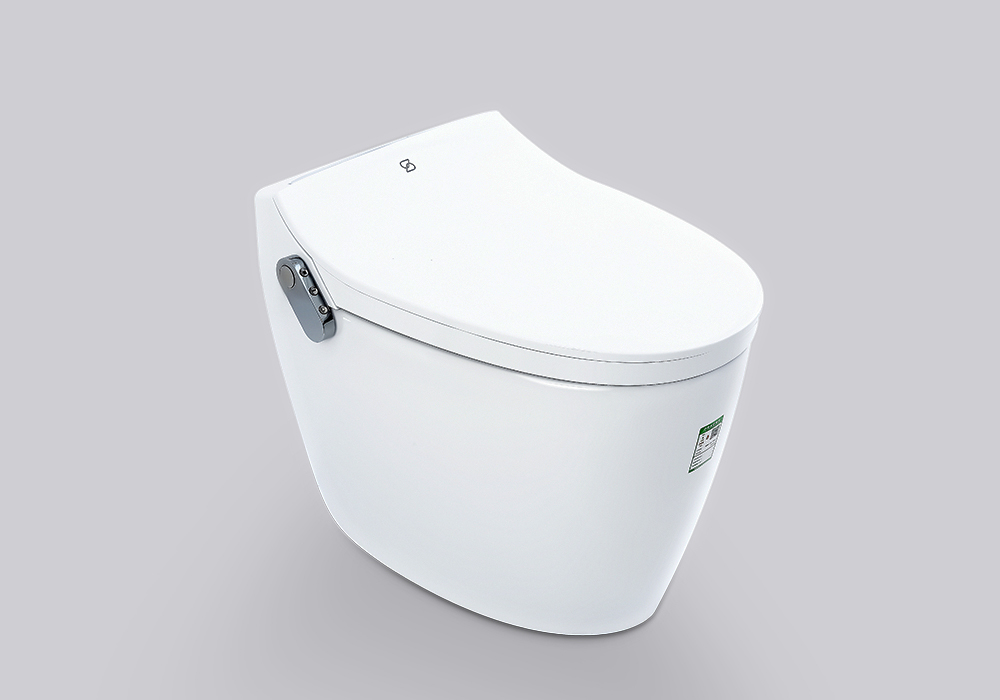Dans quelle mesure les toilettes intelligentes fonctionnent-elles la maintenance pour les ménages modernes?