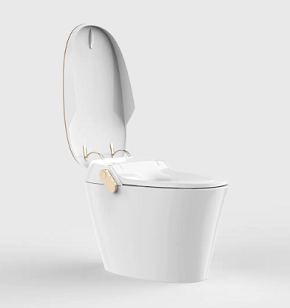 Toilettes intelligentes carrées: un jeu - changeur pour l'espace - salles de bains efficaces