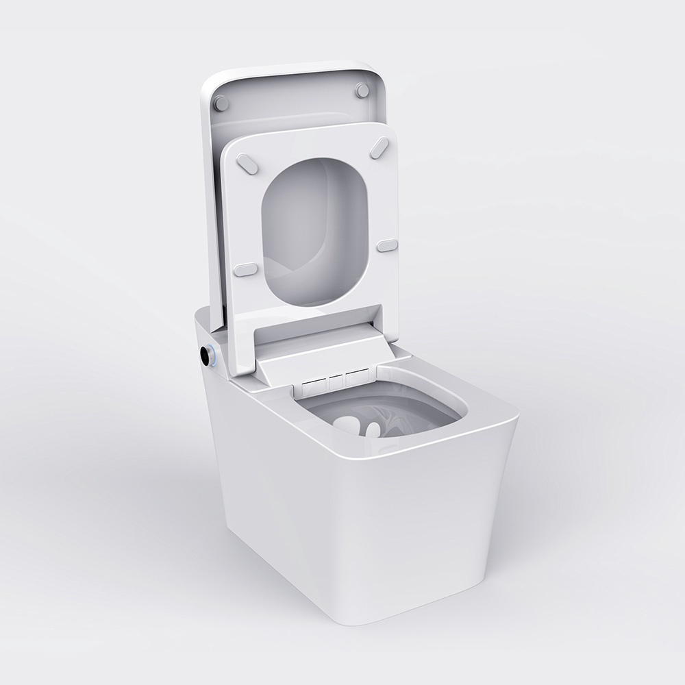 L’essor des toilettes intelligentes monobloc